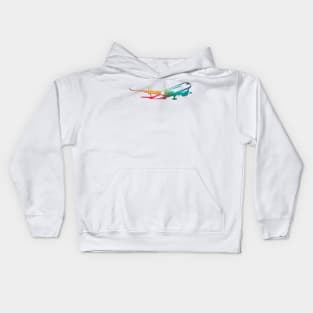 Rainbow aircraft Kids Hoodie